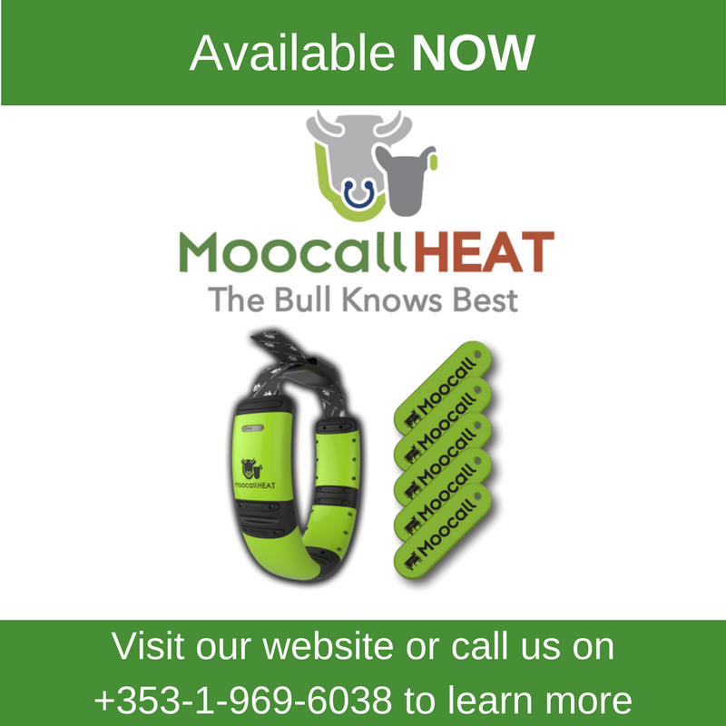 moocallofficial's tweet photo. The wait is over! Moocall HEAT is available now! Find out more by calling  +353 1 969 6038 or visiting https://t.co/Qwflajk5cB #agtwitter #agtech #agtech18 https://t.co/w7VB4pql10