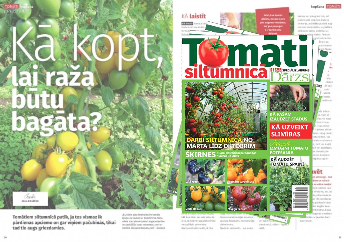IEVAS Dārzs speciālizlaidums TOMĀTI tirdzniecības vietās jau šodien! Pilnīgi viss no sēklām līdz ķekaru balstiem, lai Tava tomātu raža izdotos! ow.ly/VmJ930iYQY8