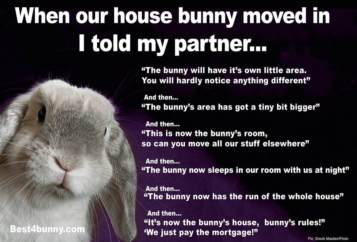 House Bunny Quotes So Nice