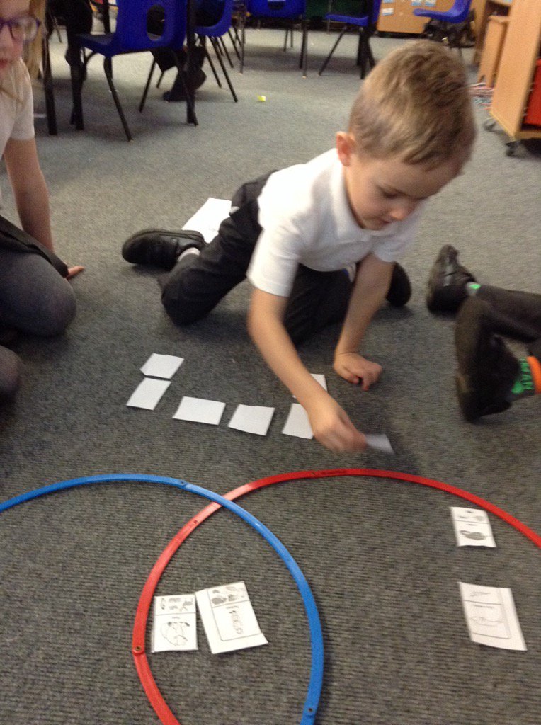 Year1CLSP_CE's tweet photo. We have loved learning about animals during science week #BSW18 @ChesterleStCofE https://t.co/mvg2A709rA