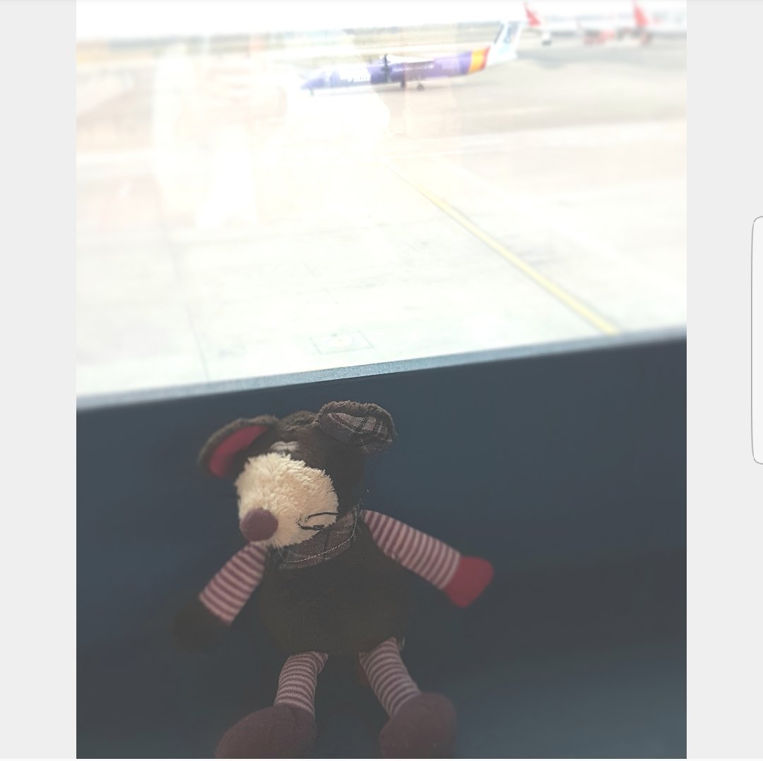 HMillSchool's tweet photo. Miller Mouse, Mrs P + Miss T are all checked in at the airport ready for France 🇫🇷 Au revoir! #curiosity #letslearnfrench https://t.co/dn7oqB6r0n