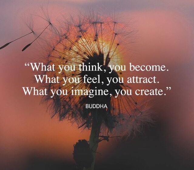 Ditmar de Vries (@ditmardevries) on Twitter photo 