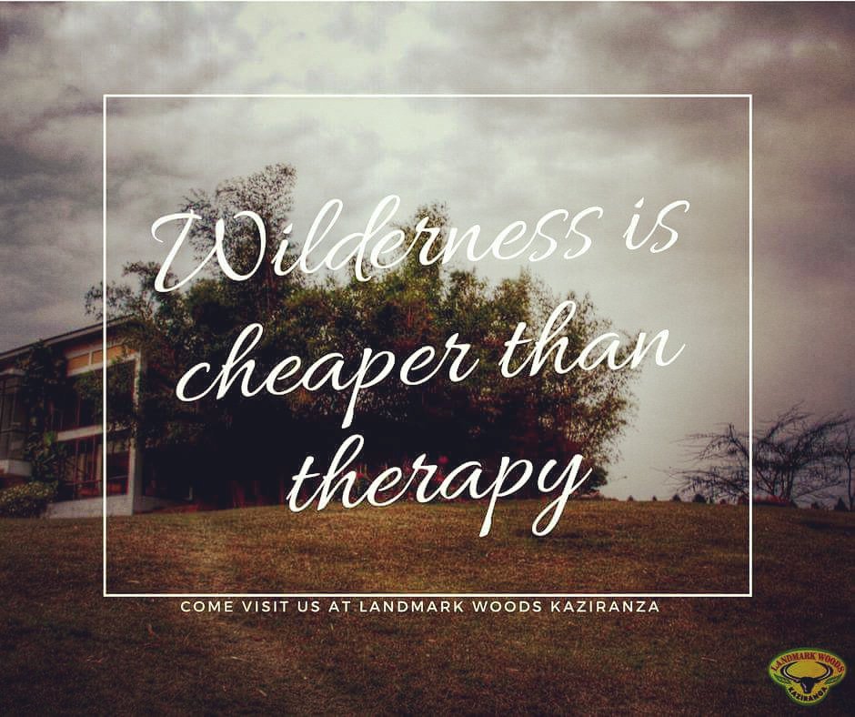 Come visit us at one of the best location in #Kaziranga .

#wilderness #wildlife #kaziranganationalpark #Assam #northeast #northeastindia #India #travel #incredibleindia #tourism #assamtourism