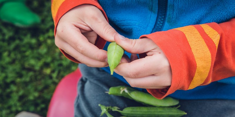 Trotseer jij de laatste winterse kou om op onderzoek uit te gaan in #Moestuin Oesmoes? Moestuin-expert <a href="/MvdPark/">Marije van der Park</a> leert je alles over groente kweken. Natuurlijk ga je ook vooral zelf veel doen! Voor #kids sámen met hun (groot-)ouders. ow.ly/4cLB30iXFhK