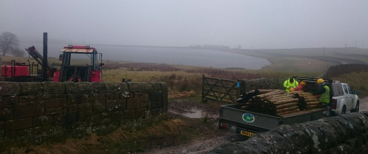 More fencing going in under #fishery improvement <a href="/WildTroutTrust/">The Wild Trout Trust</a> <a href="/EnvAgencyYNE/">Environment Agency - Yorkshire & North East</a> <a href="/YorkshireWater/">Yorkshire Water 💧</a> &amp; <a href="/SkiptonAngling/">Skipton Angling</a>. Planting >400 trees already completed. Grim out here!