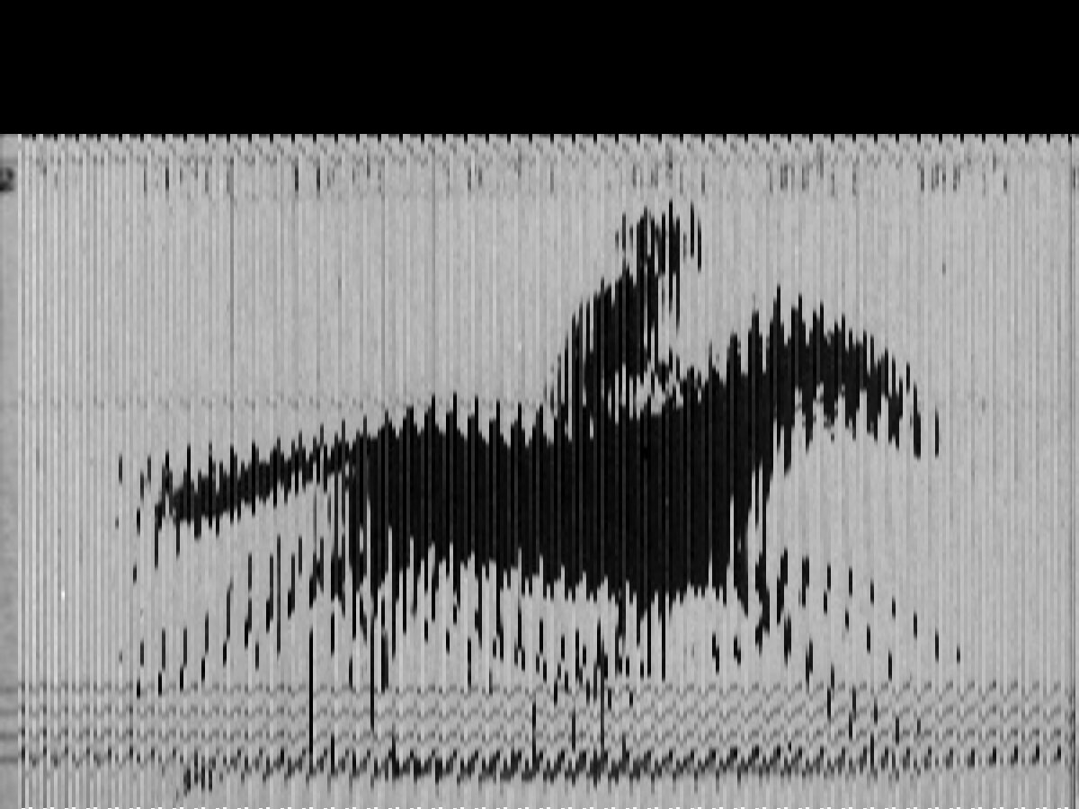 randamag's tweet image. #Surrey EXHIBITION 🖼️🎨 @haslemeremuseum showcase by #SharedArt and the theme is ‘Moving Pictures’ 👩‍🎨👨‍🎨 Each artist has given much thought and attention as to how to present this notion 📅 See the results from #31stMar_#14thApr 🌐 htl.li/eTHz30iYNEK