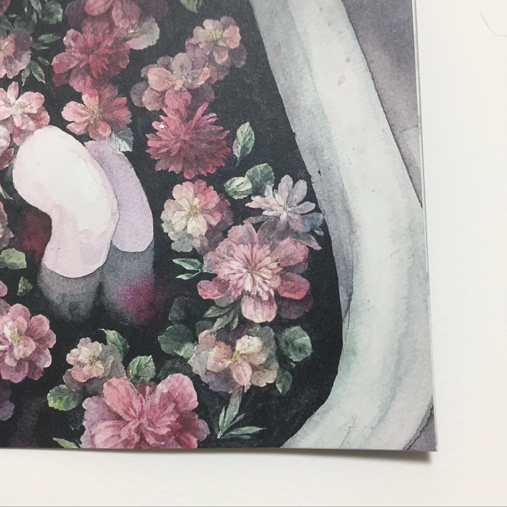 新作揃え イラスト 花葬 アート 写真 Sutevalle Org