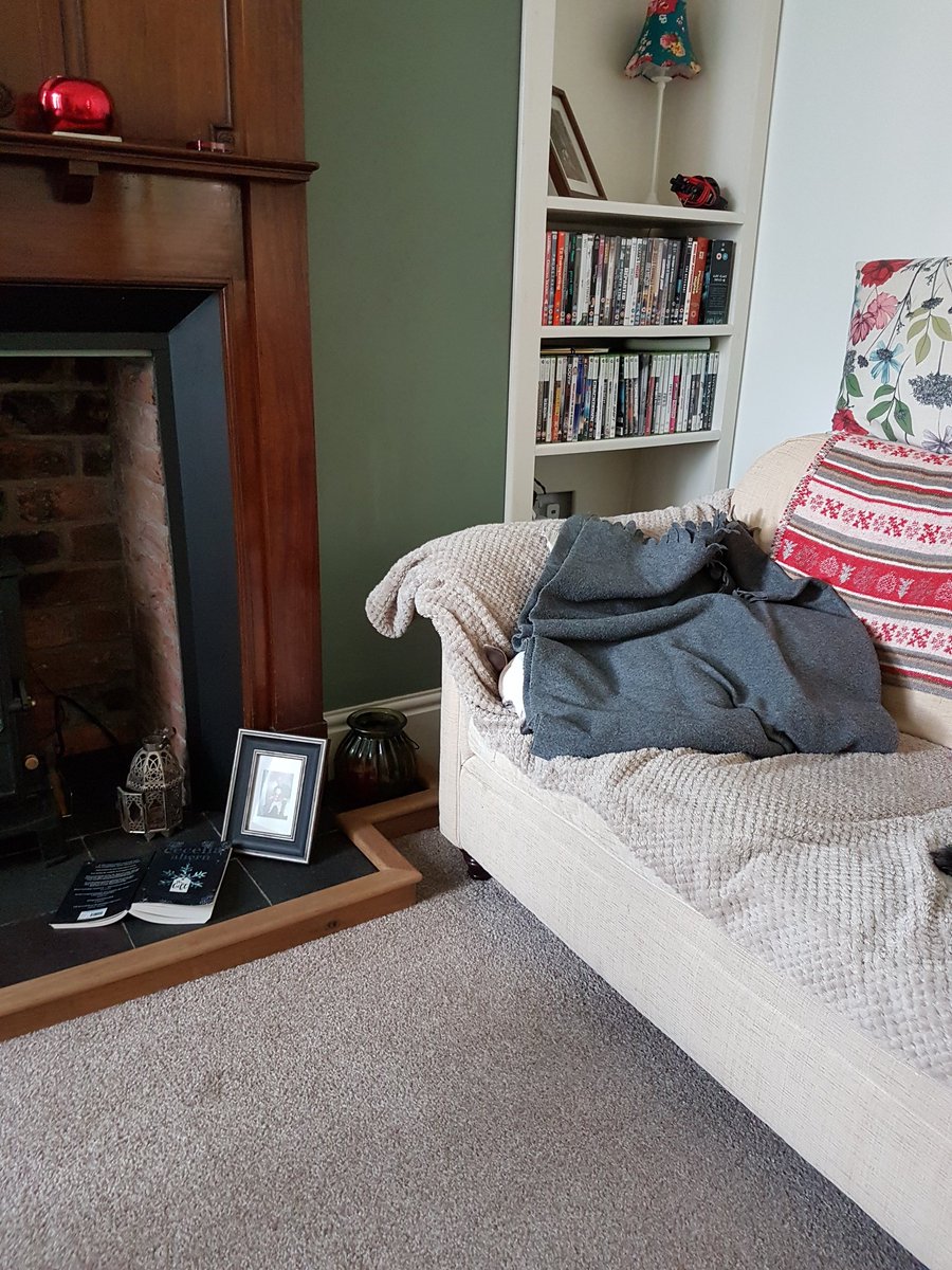 spuddiewhippet's tweet image. Can you spot me bol!!xx