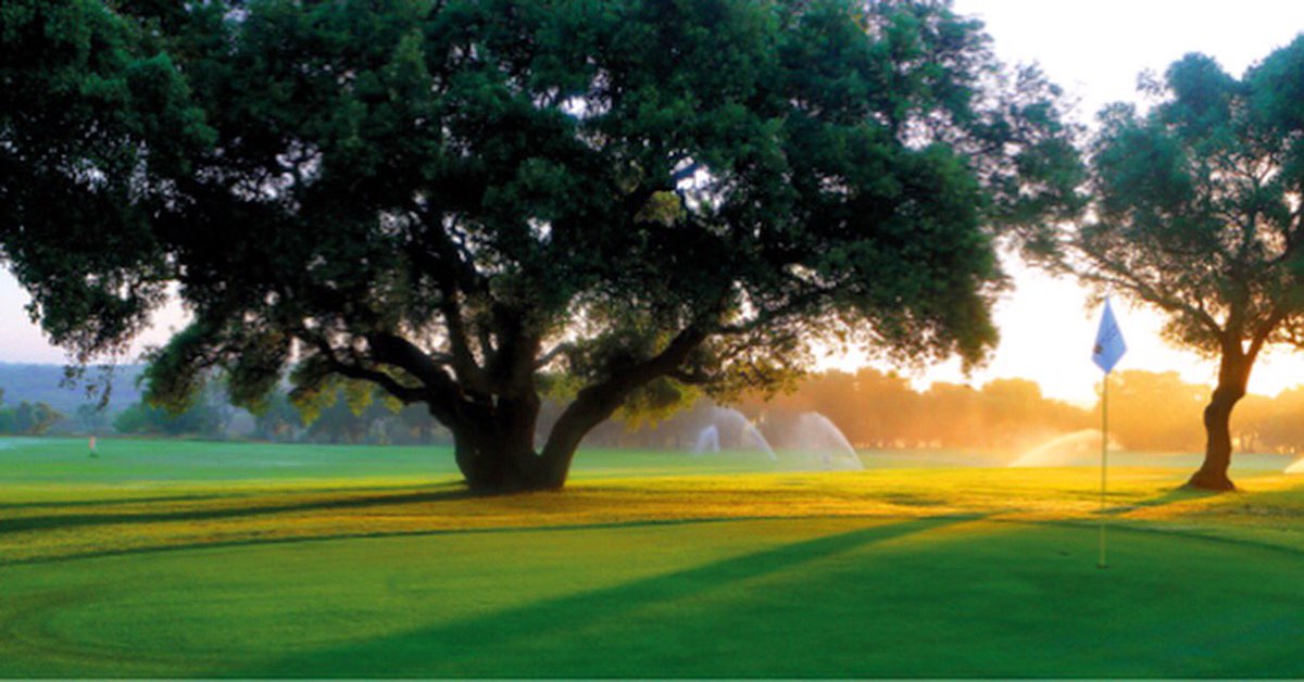 Golf Circus Magazine tweet media