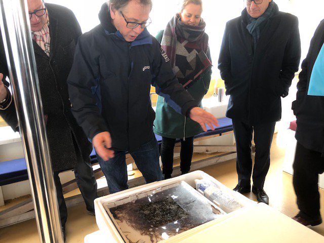 Herbevolking in volle gang: vandaag zetten we bijna 400.000 jonge #palinkjes #glasaaltjes uit op de enige rivier die in Nederland begint en eindigt: De Eem. Aal-herstelproject mogelijk gemaakt door Eel Stewardship Fund.