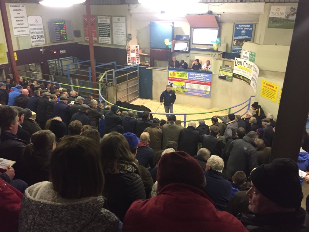 Mairead Lavery tweet media