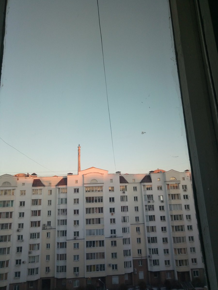 Кухонный дзэн меня. tweet media