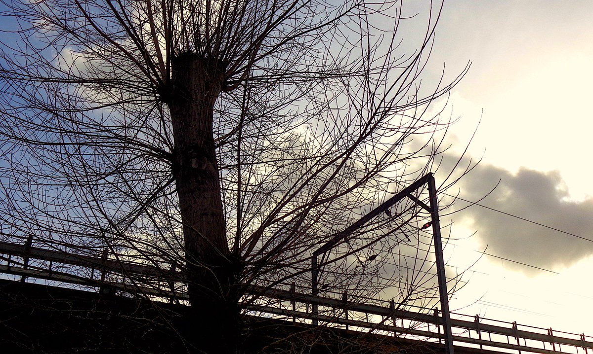 UnbesetztSynth's tweet photo. What's your 'eta' und which branch are you on #matrix #complexus #London #GeheimesLeben #semiconductor @reedandcaroline @BecksNudds @drunkenpoet92 @TinSoldiere @VeryRecords :: Halo 🌓! https://t.co/Jj7G3UQGvC