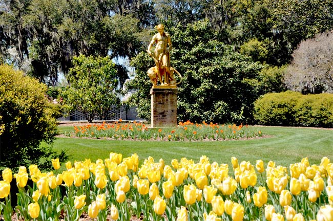 TrueBlueResort_'s tweet photo. Explore the 2018 Earth Day celebration being held at Brookgreen Gardens on Saturday, April 21st: https://t.co/bEiVkB4bvJ #FridayFeeling https://t.co/QFJdDv5PL9