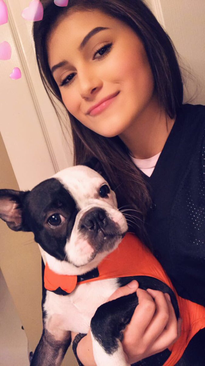 avvii_'s tweet photo. It’s #NationalPuppyDay so y’all already know I have to show off my good boy. 💞 https://t.co/J5basQrdOg