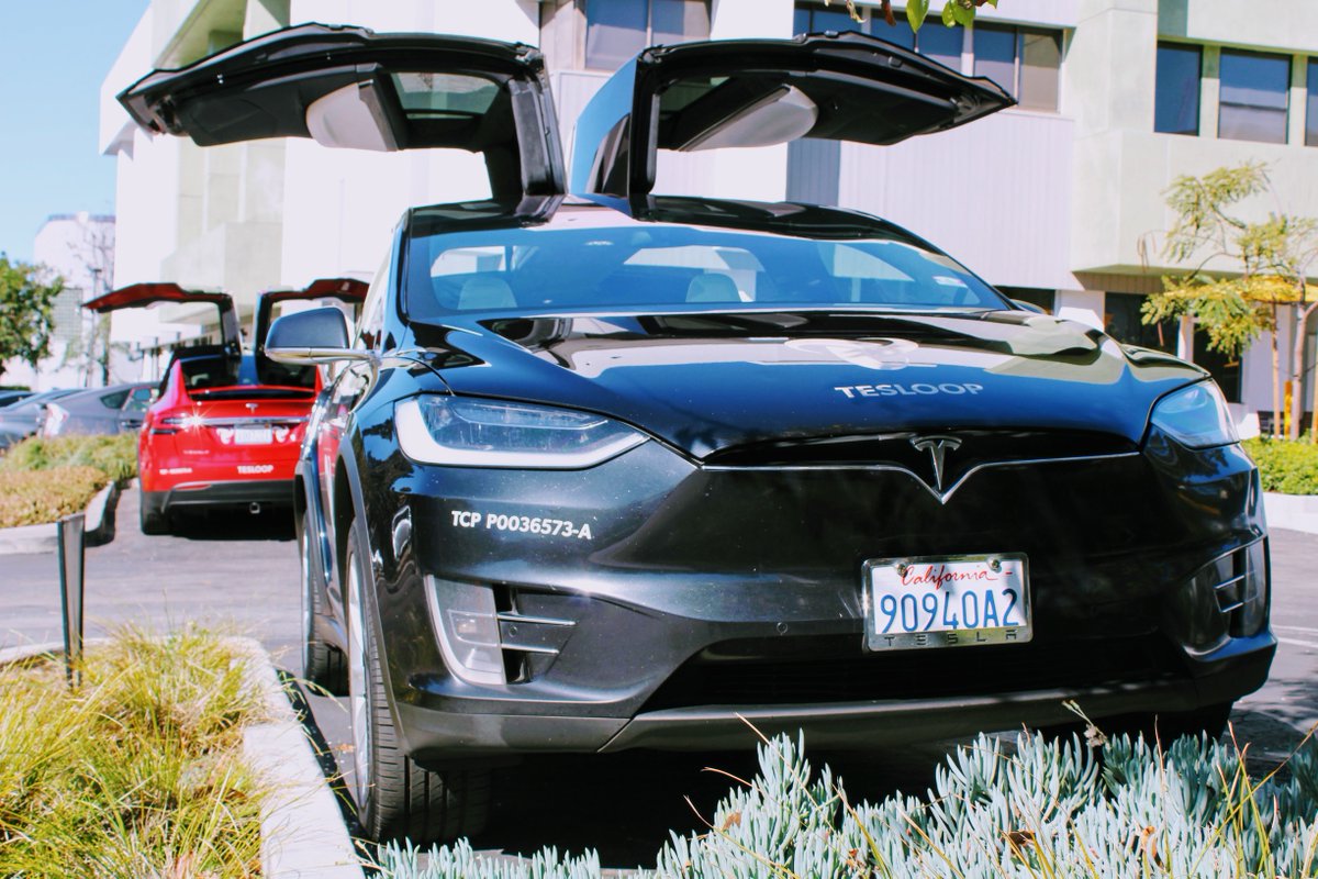 tesloop's tweet photo. #RubyLoop and #DeuxyLoop at our HQ #Teslove https://t.co/jRfP4nLohq