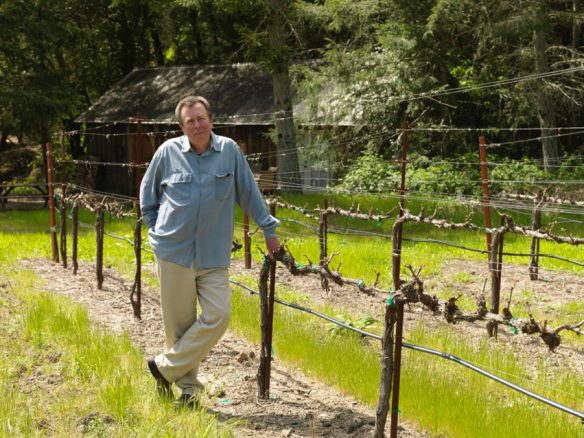 The Big Boys – those conglomerates mass-producing wine and gobbling up small competitors – are effectively shoving them off the shelves. But they haven’t been able to prevent some tiny wineries from earning big scores.bit.ly/2GFxZbT @pegasuswine @primwine @thefarmwinery