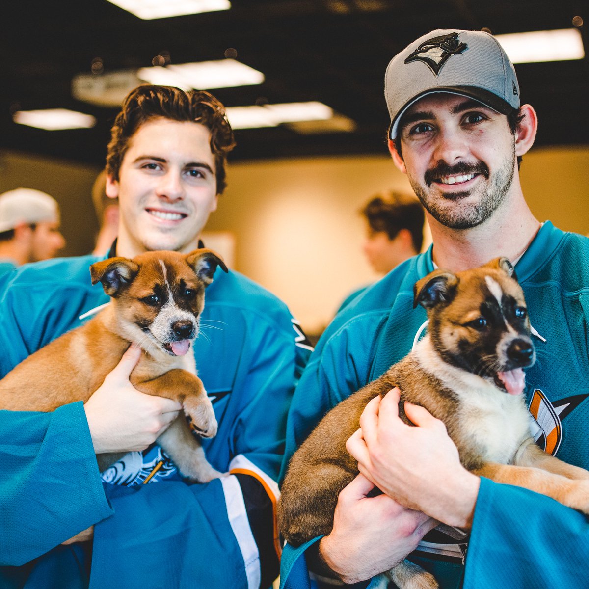 sjbarracuda's tweet photo. Take a break and enjoy some 🐶 photos for #NationalPuppyDay https://t.co/KmXVqbjowB