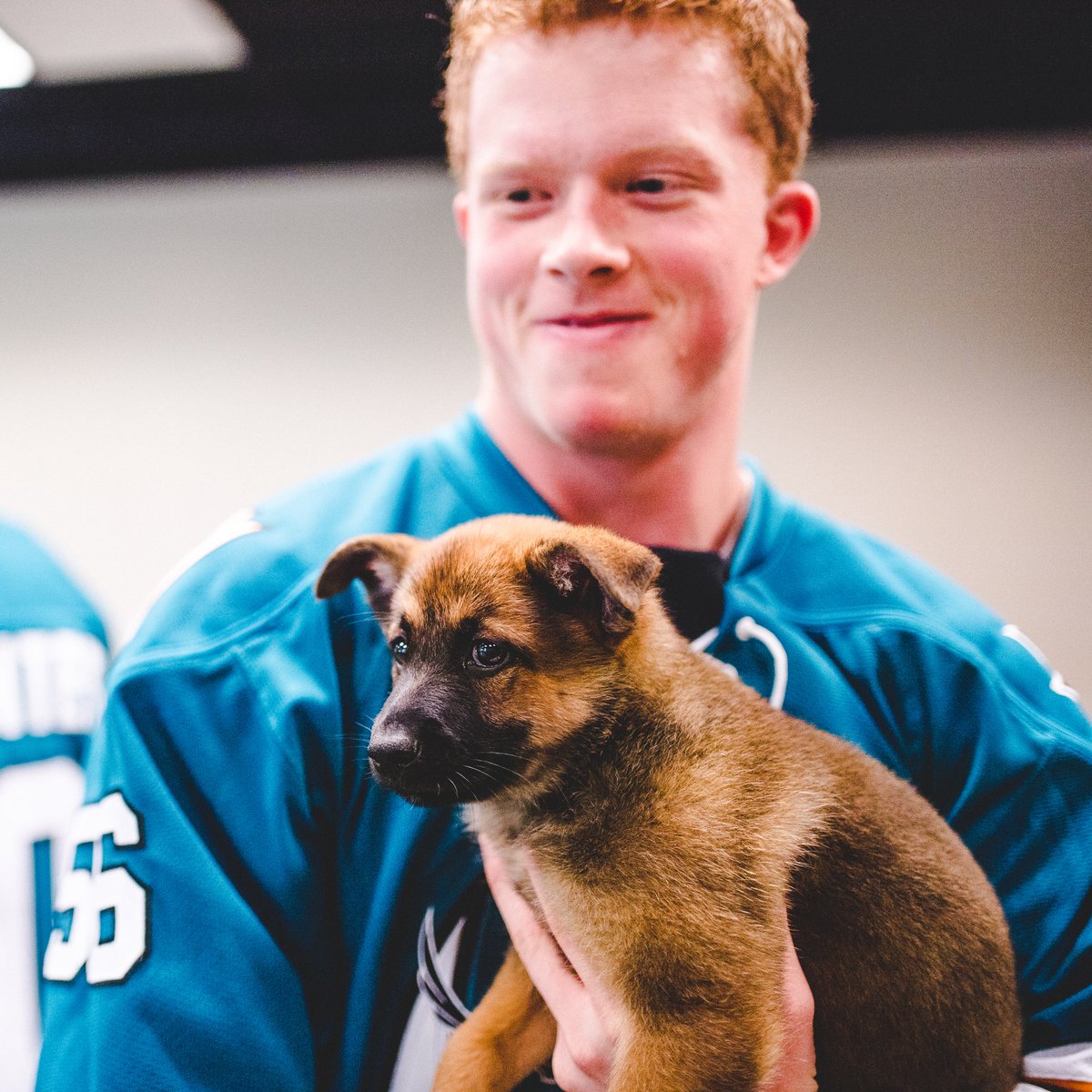 sjbarracuda's tweet photo. Take a break and enjoy some 🐶 photos for #NationalPuppyDay https://t.co/KmXVqbjowB
