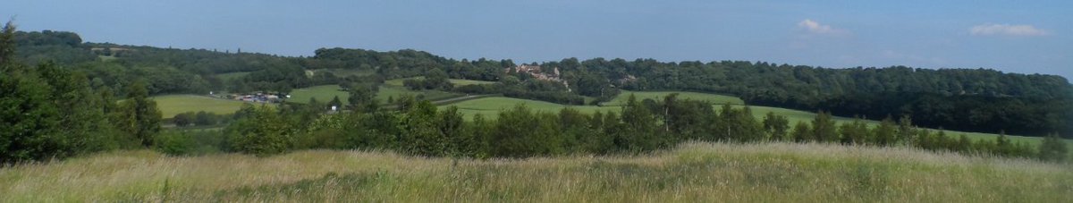 HickletonTalk's tweet photo. Hickleton has some beautiful countryside and woodland around it! Perfect for hikers and cyclers. https://t.co/YReufCyEuj