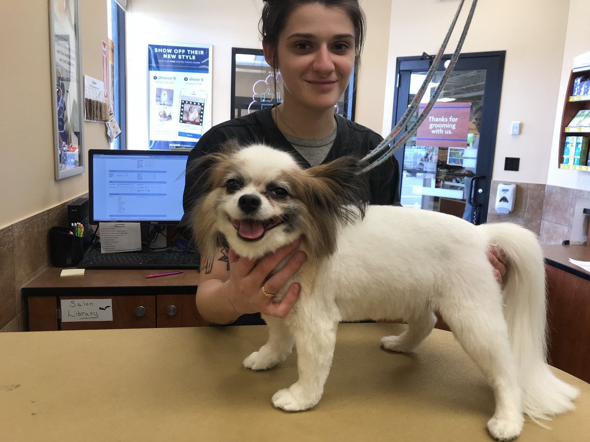 petsmart2480 tweet media