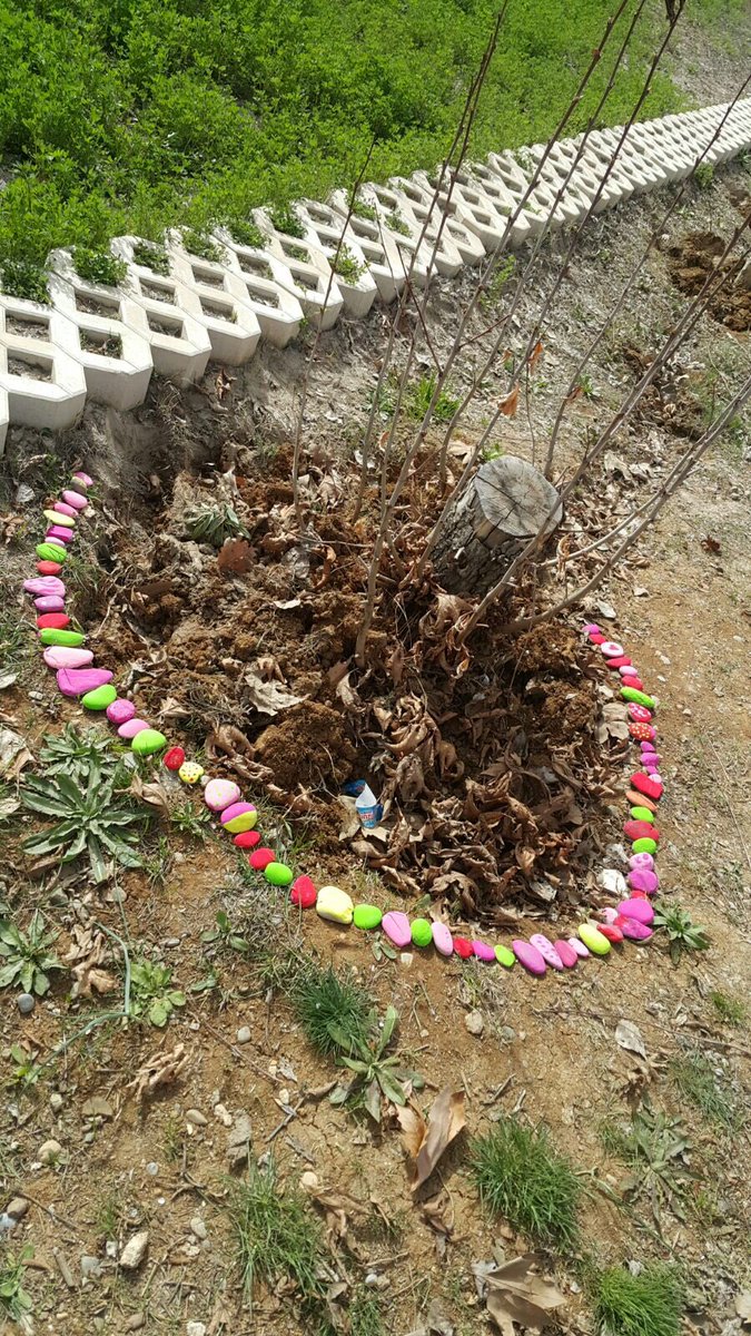 Çevre gezisinde topladığımız taşlar boyandı ve bahçede yerlerini aldılar ☺️<a href="/TugbaAbanoz/">Dr. Tuğba ABANOZ</a> <a href="/nameuca/">Nağme UCA AŞAM</a> <a href="/tlnkilic/">Tülin KILIÇ YURDAKUL</a> <a href="/Ekmen80/">Ömer EKMEN</a>