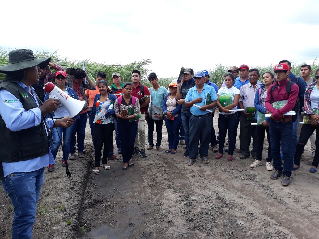 madretierrabol's tweet photo. #AHORA #SANTACRUZ// El Centro Nacional de Caña de Azucar, #CENACA - #INIAF, en el desarrollo de variedades, fertilización y producción de semilla, se realiza la "Jornada demostrativa" con la asistencia de productores, estudiantes y comunarios del municipio de Fernandez Alonzo. https://t.co/raV7yObqQW