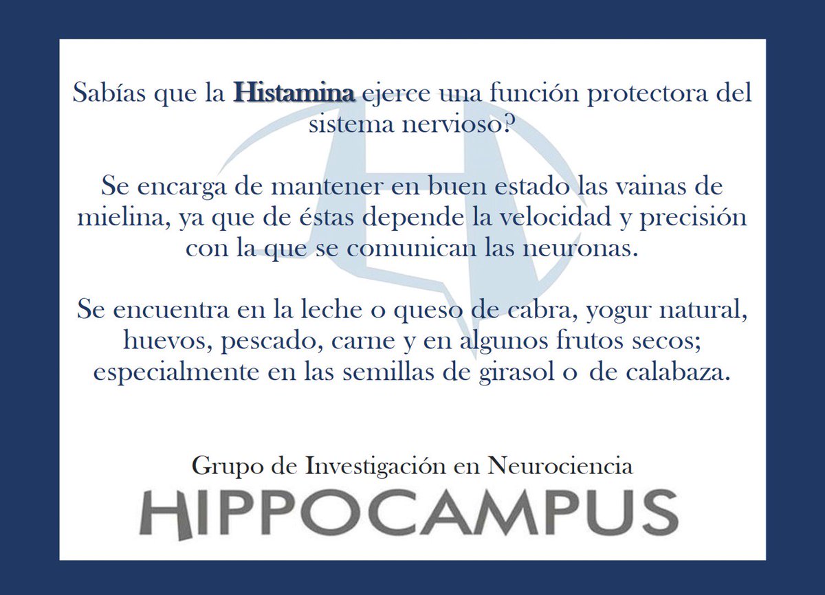Educated_Change's tweet photo. RT @HippocampusGrup: #Neurocapsulas #AR #neuroscience #neurociencia #neurociência #hippocampus #grupohippocampus #neurologia #Neurology #NeurologyConference2018 #neuropsicologia #neuropsychology #hippocampusgrup #cerebro #VibraEnLasMananas @AlexanderRios… https://t.co/C9xz7wDPJh