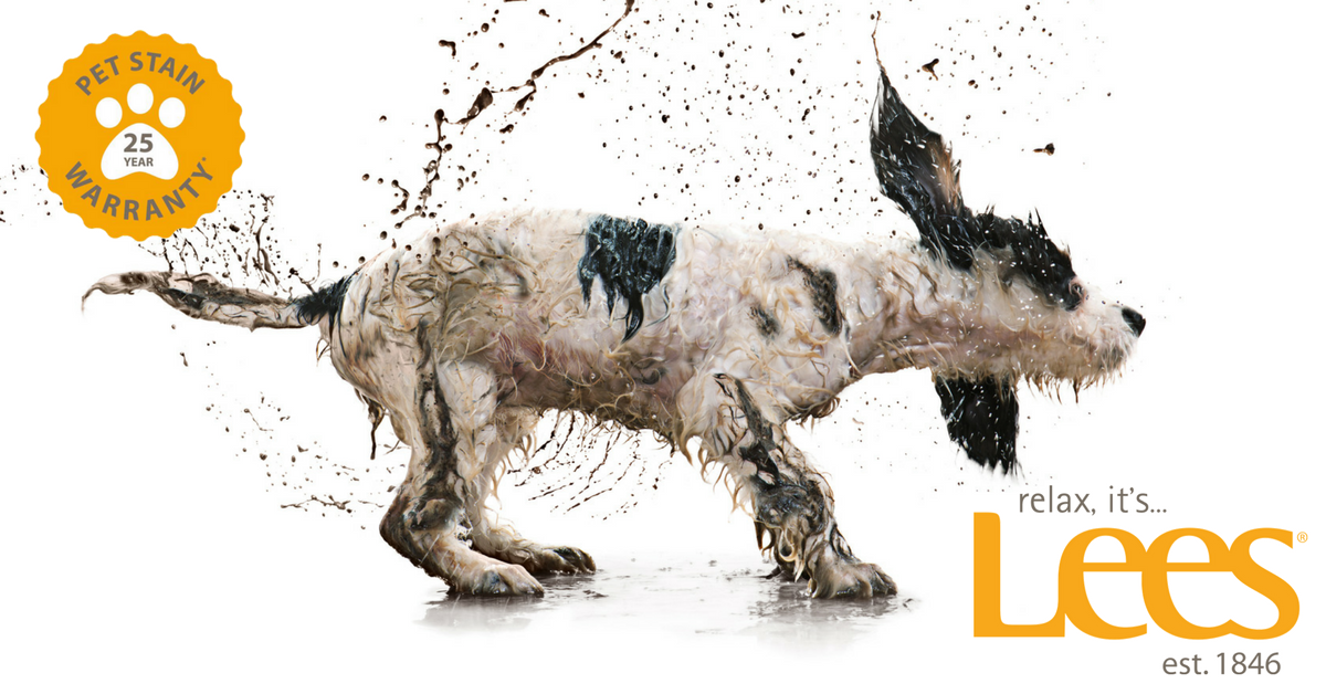 AvantGardeCPT1's tweet photo. On #NationalPuppyDay, we celebrate Relax, it's…Lees®, the #carpet like no other with a 25-Year #Pet Stain Warranty. Shop and learn more >> https://t.co/c4maRFiItf https://t.co/h5e7twgXZe