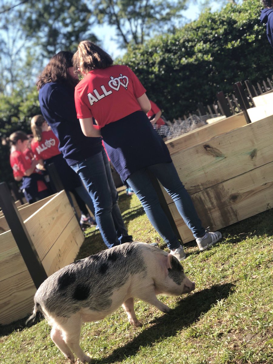 Nicole_Janz's tweet image. An amazing day @instarfarms.  Working on real world measuring for our “Raise the Roof” projects. #ASHRosary @ASHRosary