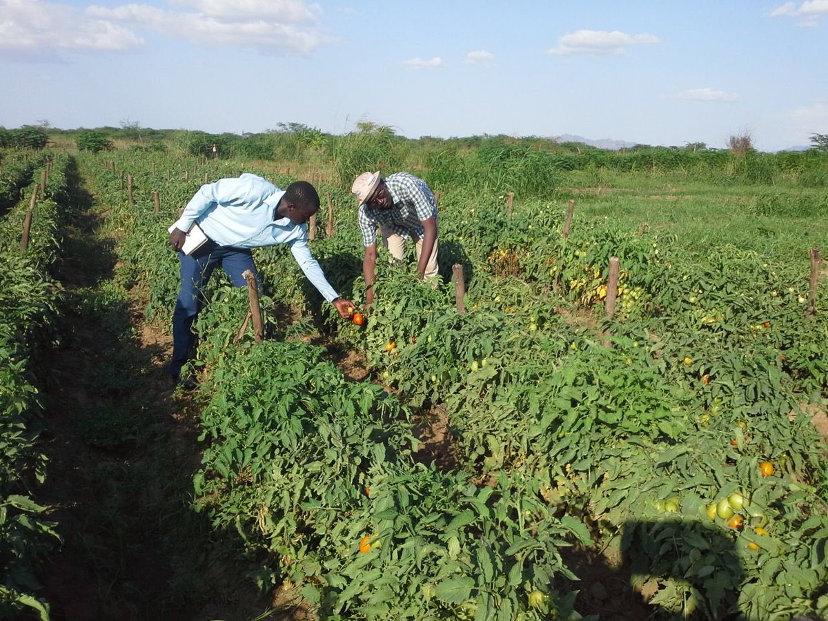 National Irrigation Authority tweet media