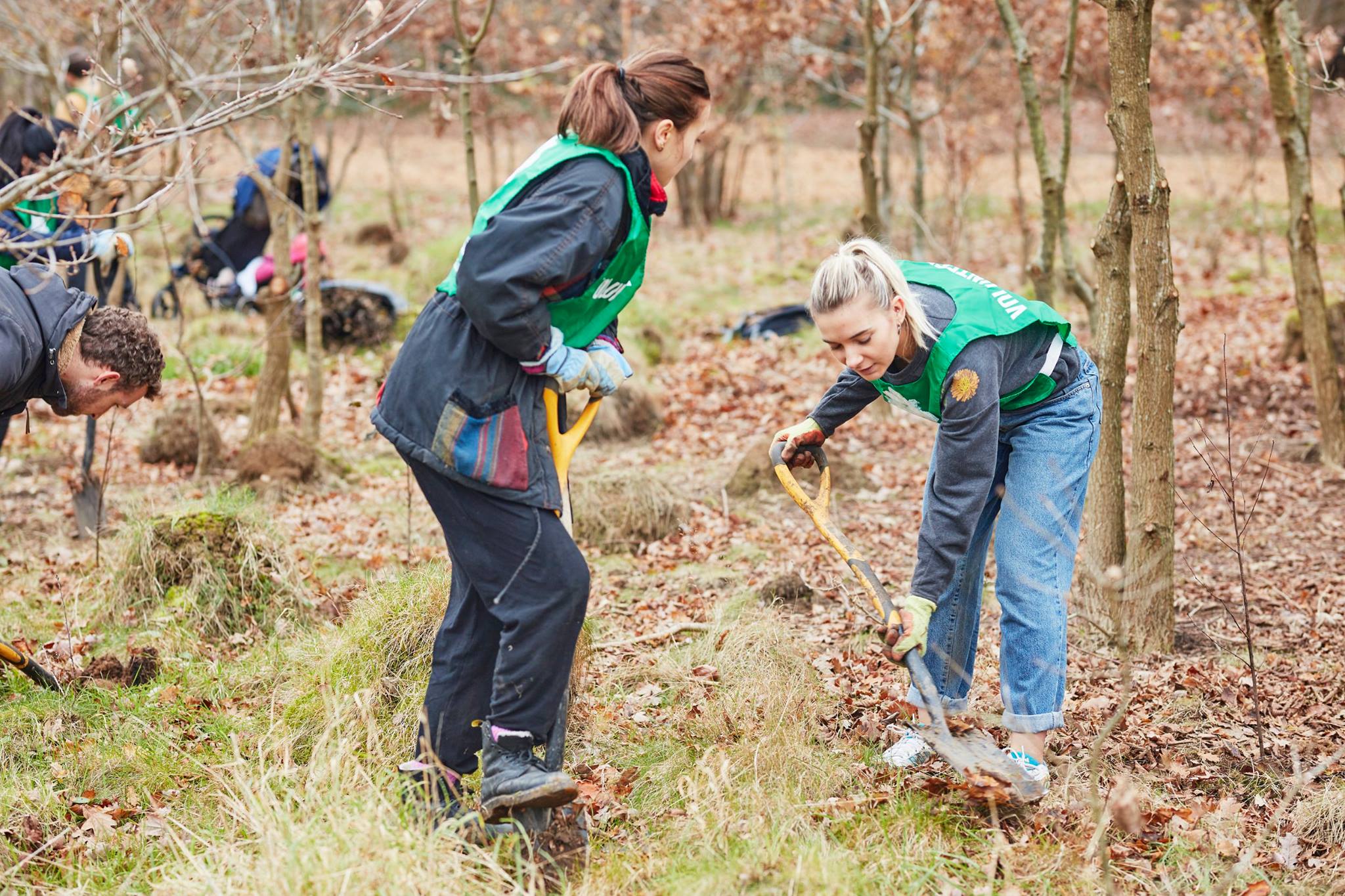 Trees for Cities on Twitter "We are looking for a Project Coordinator