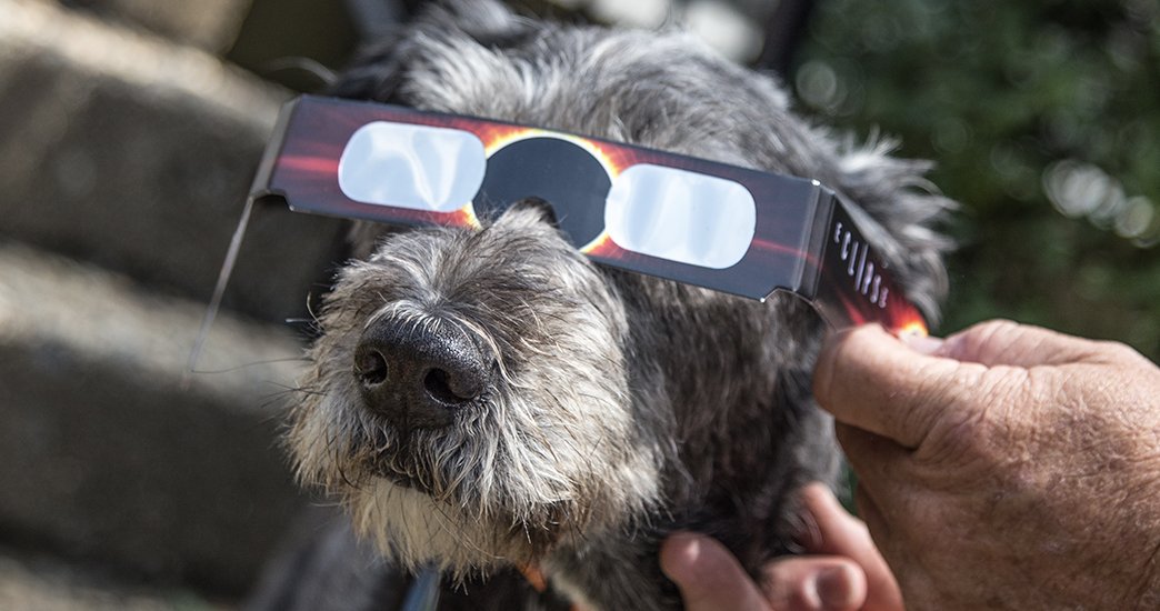 buildprc's tweet photo. Our VP of Hospitality would like to wish young pups everywhere a happy #NationalPuppyDay. Since 2007, she's been inspiring K9's everywhere by her rapid climb up the corporate ladder. As she puts it, "It’s hard woof, and the hours can sometimes be ruff, but it's been worth it." https://t.co/USUIQbOF5P