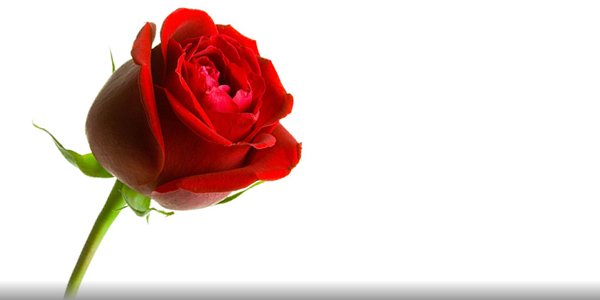 Funeral Notice: Clive Ashman of #Pontypridd #RCT Please make donations in lieu of flowers to <a href="/CR_UK/">Cancer Research UK</a> pontyclunfuneralservices.com/2018/03/23/cli…