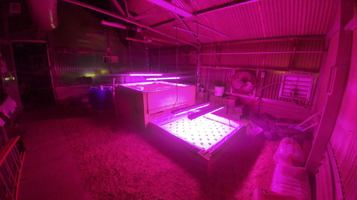 acccarpentry's tweet image. Our Electricity, Animal Science, Environmental and Engineering classes collaborated to construct a hydroponic system in our greenhouse
@ilovearlingtonv @Margaretchungcc