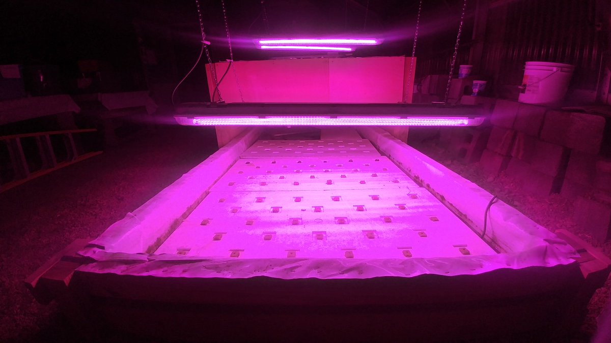 acccarpentry's tweet image. Our Electricity, Animal Science, Environmental and Engineering classes collaborated to construct a hydroponic system in our greenhouse
@ilovearlingtonv @Margaretchungcc