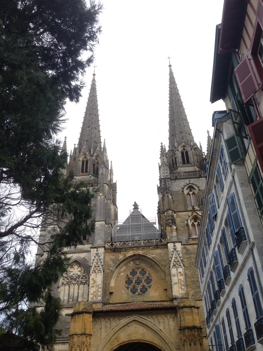 eligidius's tweet photo. En direct de la cathédrale de Bayonne, en plein travaux ! Les peintures néogothiques sont flambant neuves ! #teamJML https://t.co/X5lv83WSMm