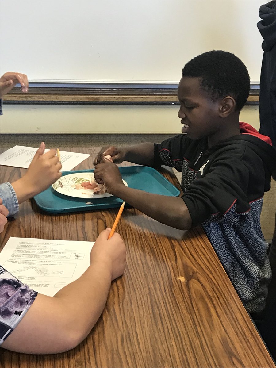 SequoiaMSGiants's tweet photo. Enjoying the #chicken #wing #dissection in Science 7 with @msbernalscience https://t.co/kAcf9Iy1Vj
