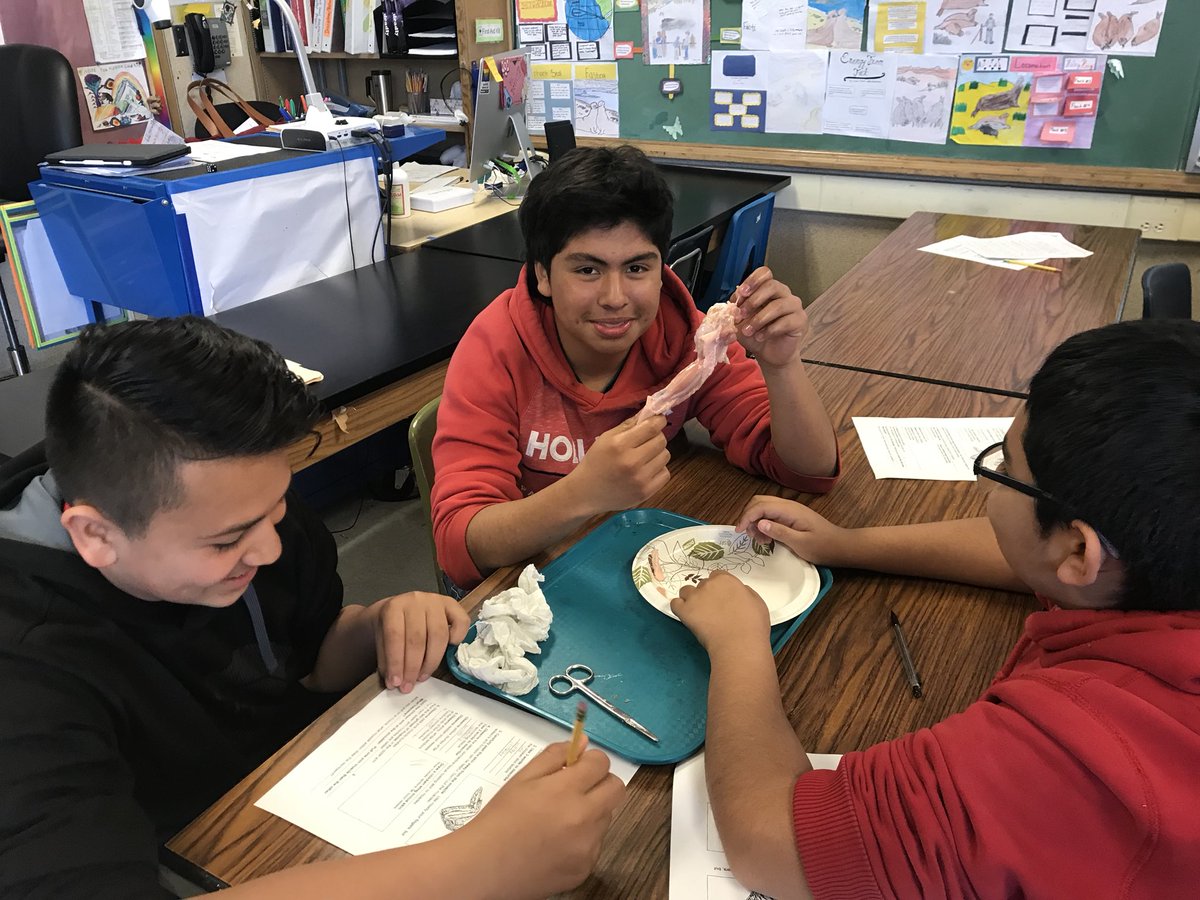 SequoiaMSGiants's tweet photo. Enjoying the #chicken #wing #dissection in Science 7 with @msbernalscience https://t.co/kAcf9Iy1Vj
