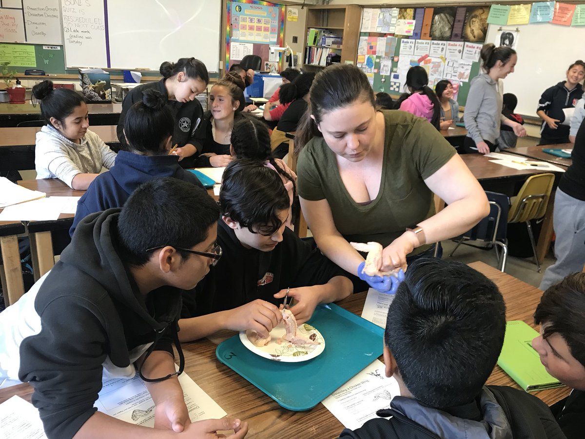 SequoiaMSGiants's tweet photo. Enjoying the #chicken #wing #dissection in Science 7 with @msbernalscience https://t.co/kAcf9Iy1Vj