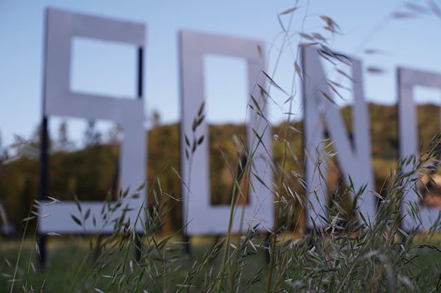 One more day until the world premiere of Finding Hygge at <a href="/sonomafilmfest/">Sonoma International Film Festival | SIFF</a>!
⠀⠀⠀⠀⠀⠀⠀⠀⠀
📷: <a href="/grant/">@grantzero@mstdn.ca</a>.a.michael

instagram.com/p/Bgq_LybnR9p/