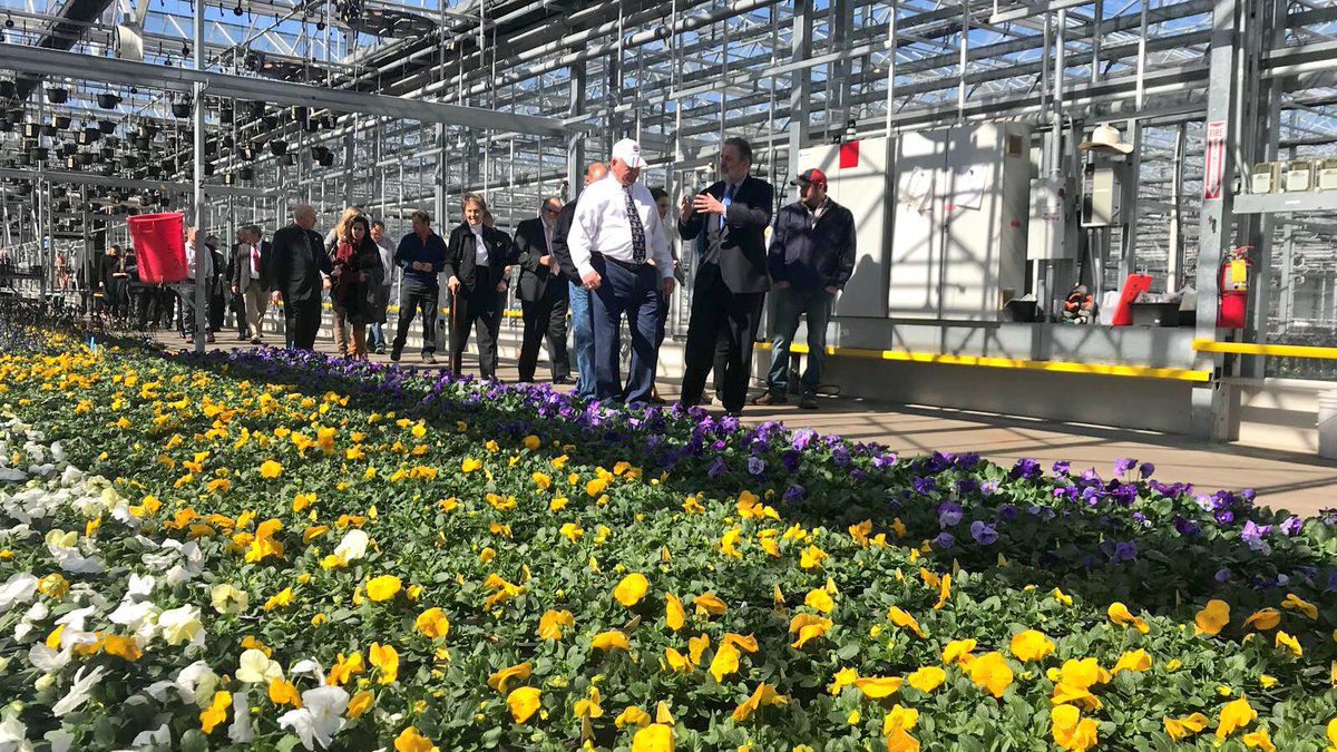 NLAmbassadorUSA's tweet photo. Very happy to be in Orange County. Honored to present the official proclamation to the people of Orange. Tulips make me feel right at home. #NLinOrangeVA #Virginia https://t.co/LsTiXeej3h