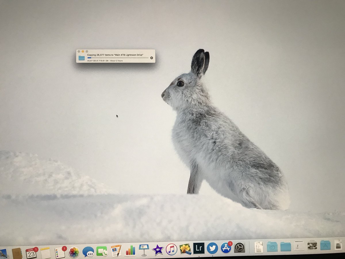 highland_andy's tweet photo. Final push to back-up my complete archive of images to a new 4TB external drive. Thank goodness my iMac is reasonably fast! #BackUpTime #BetterSafeThanSorry https://t.co/9EZZBxoKJc