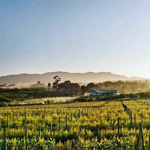 Winemaker, and Master of Wine, @RichardJKershaw says, 'my aim is to produce consistently exceptional wines, true to terroir and clonal profiles' - and we think he's right. This beautiful valley makes our wine making job easy! 
#LothianLife #ElginMagic #mw #masterofwine