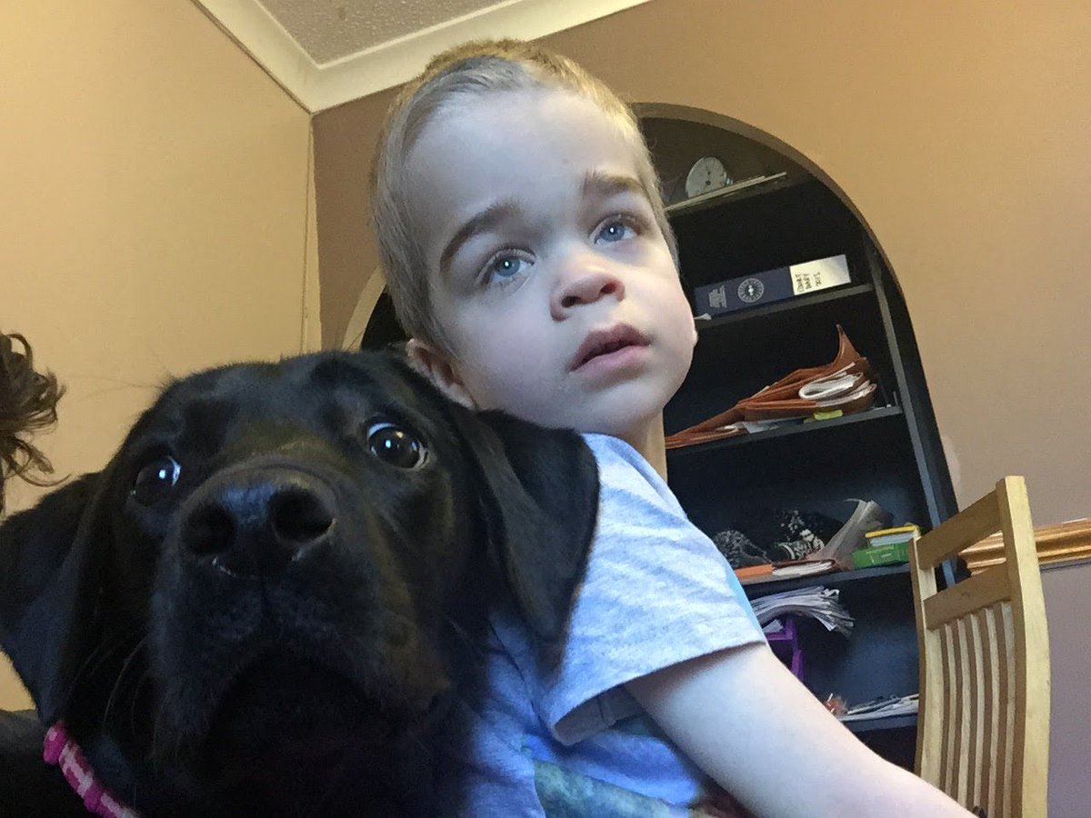 Re_Spawn81's tweet photo. Two besties
#Autism #LabradorRetriever #autuallyautistic
#GooglePhotos #AutismAwareness https://t.co/EbMjNLmVfd