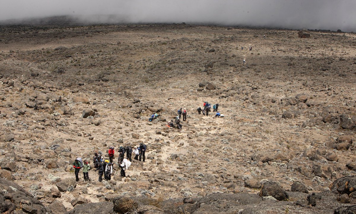 Gary Barlow tweet media