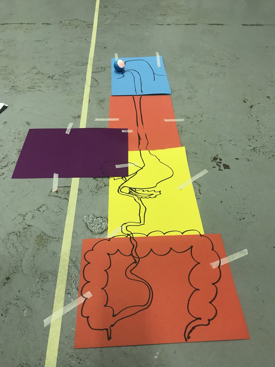 Wendy Hindle tweet media