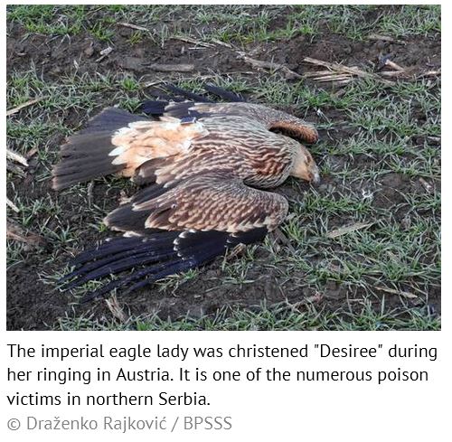 G_Schwaderer's tweet image. The pace of decline of migratory bird populations in the #Balkans is very worrying. Illegal killing (including poisoning), unsustainable hunting, and habitat destruction along the Adriatic Flyway are considered to be the main causes.

#AdriaticFlyway
euronatur.org/en/news/detail…