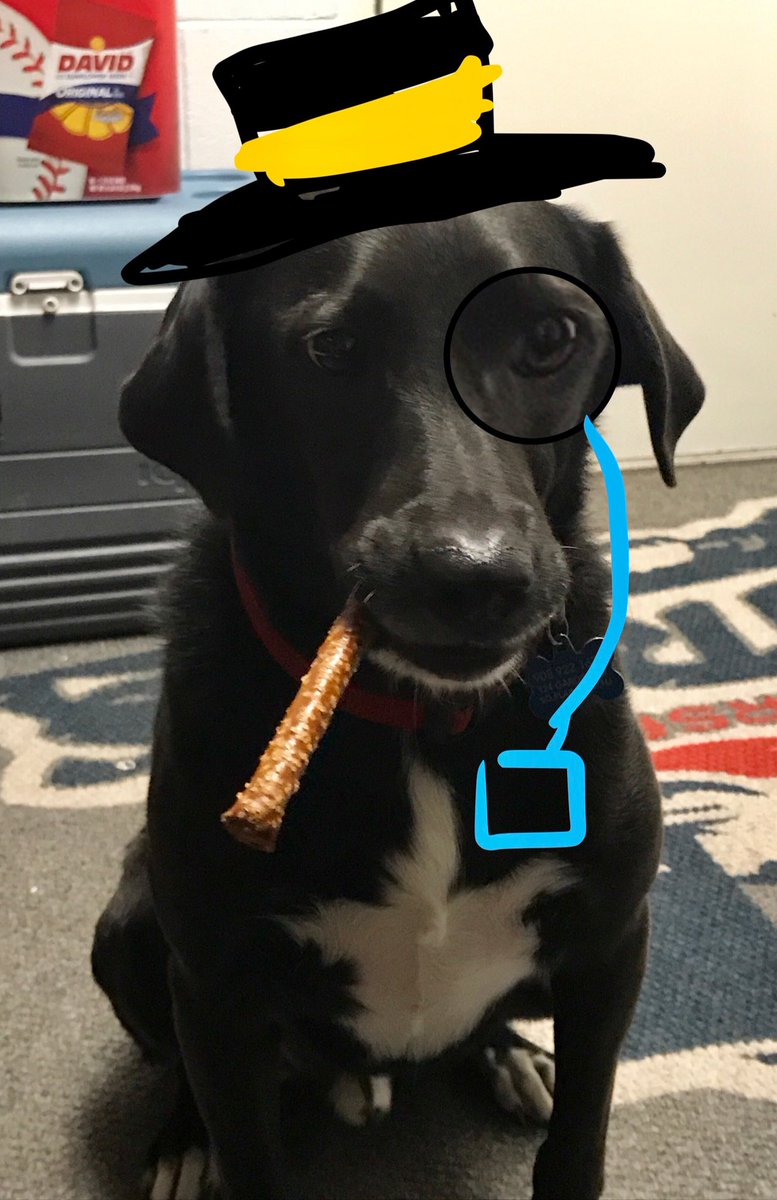 ClubbyDS's tweet image. #NationalPuppyDay travel buddy!