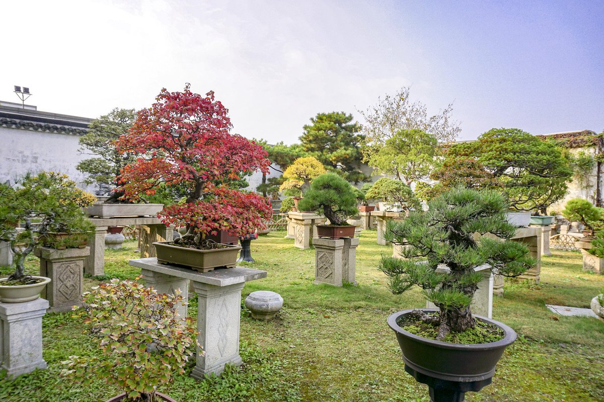 VisitSuzhou's tweet image. We&apos;re very excited to welcome in the #StartOfSpring at the #MacysFlowerShow this weekend!